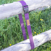 Damsel Fly Fishing Women's Wading Belt